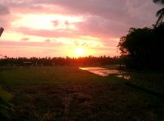 Galerie - Unsere Hochzeitsreise